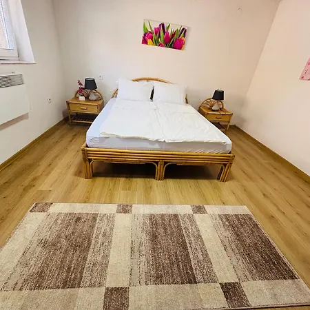 Apartment Zlatan *
